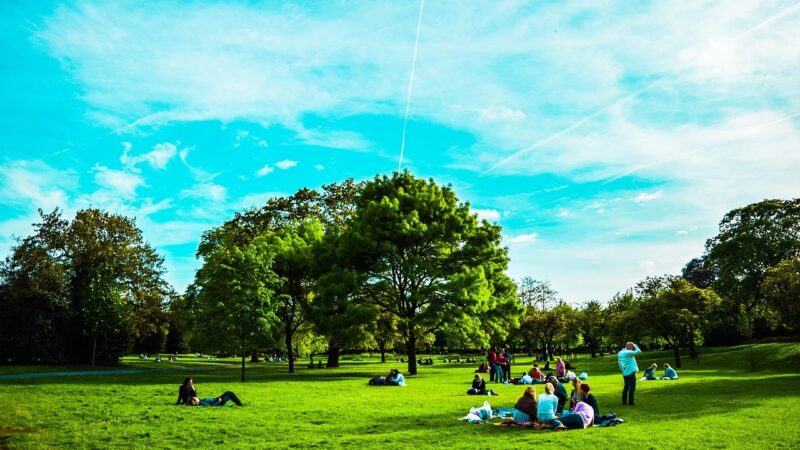 COP28 ukázal, že města a&nbsp;regiony jsou připraveny k&nbsp;razantnějším klimatickým akcím než jejich vlády