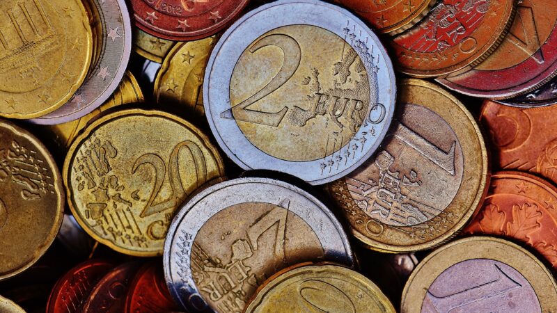 Dopady přijetí eura na Česko jsou nejasné. U&nbsp;jiných zemí dominovaly přínosy, říká ekonom