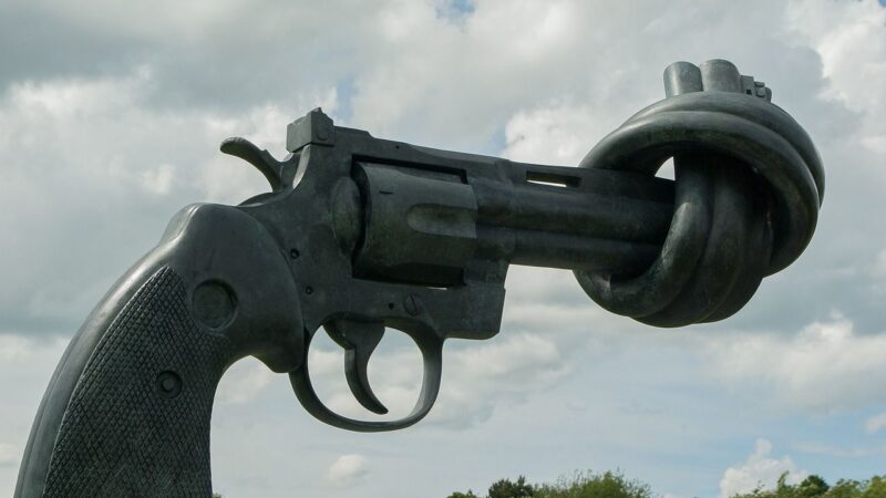 Směrnice EU občany neodzbrojí, své zbraně si budou moci ponechat