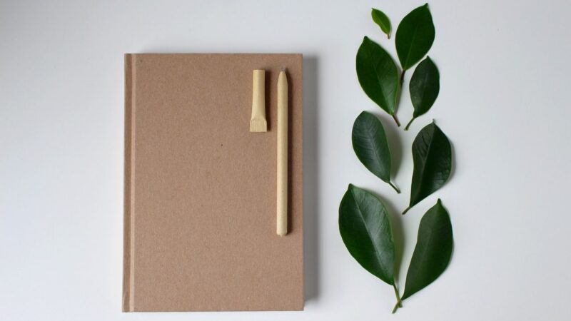 Ve veřejných zakázkách nemá rozhodovat jen cena, ale i&nbsp;dopad na životní prostředí. Usiluje o&nbsp;to EU i&nbsp;ČR