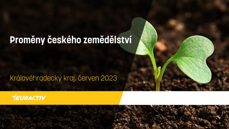 Reportáž: Šlechtění nových odrůd v&nbsp;zemědělství může pomoci s&nbsp;řešením krize nedostatku potravin