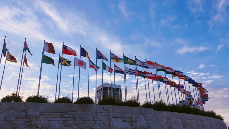 Bez vlajky nebo s&nbsp;prohlášením. Europoslanci iniciovali petici proti účasti ruských a&nbsp;běloruských sportovců na olympiádě