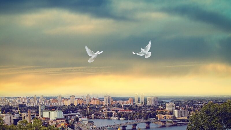 Ukrajinská cesta k&nbsp;míru