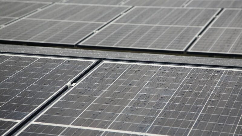 Růst solární energie v&nbsp;EU poprvé po deseti letech zpomalil