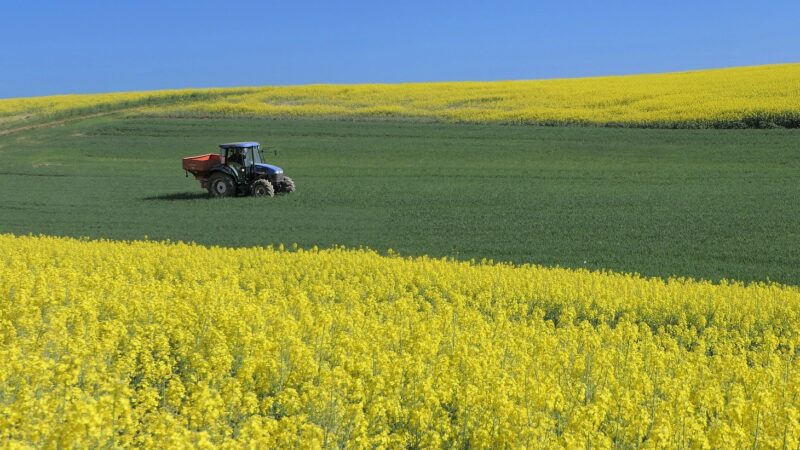 Nová zemědělská politika EU je vítězstvím agrární lobby, stěžují si malí farmáři