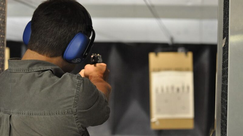 Čeští politici mohli nechtěnou směrnici o&nbsp;zbraních blokovat již dříve