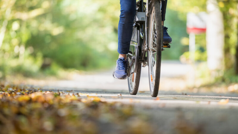 Od cyklostezek až po nové metody kompostování. Přeshraniční projekty zlepšují život v&nbsp;pohraničí