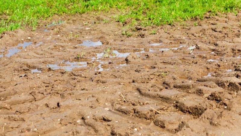 Boj s&nbsp;erozí souvisí se vztahem zemědělců k&nbsp;půdě, říká odbornice Podhrázská