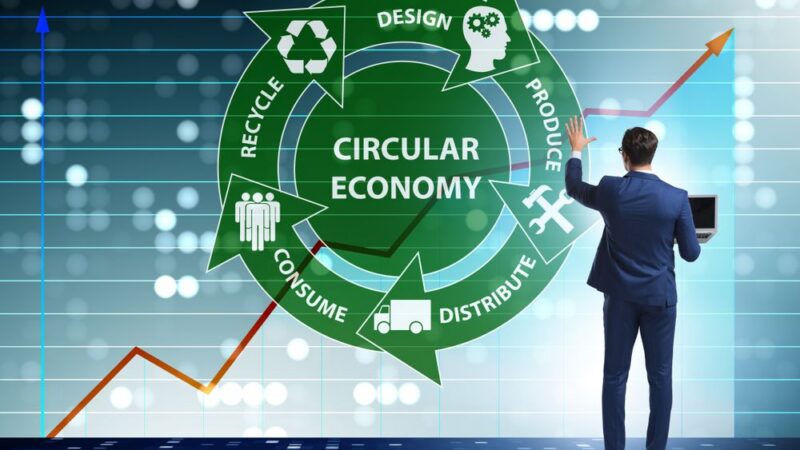 Zadávání veřejných zakázek jako cesta k&nbsp;podpoře globálního rozvoje cirkulární ekonomiky