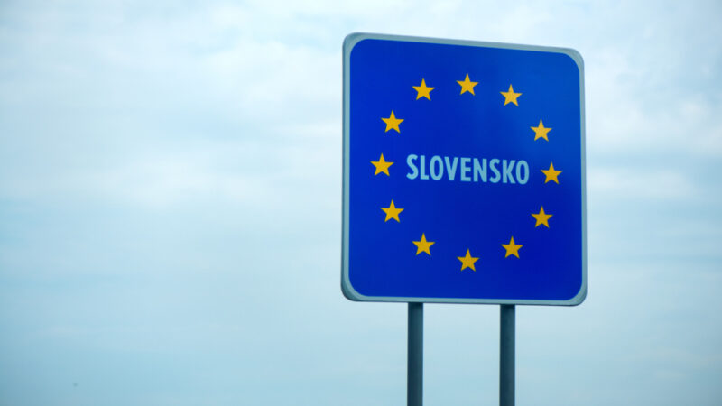 Proč mají Slováci rádi euro?