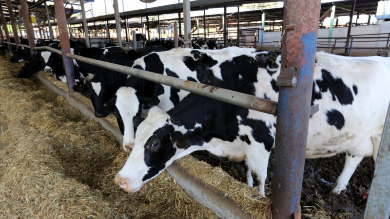 Roboti nepotřebují pauzu na oběd