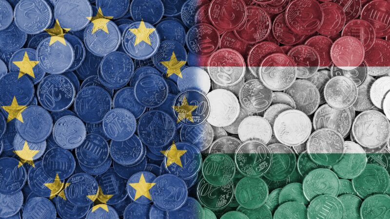 Maďarský zákon o&nbsp;financování občanských organizací je v&nbsp;rozporu s&nbsp;evropským právem, tvrdí advokát EU