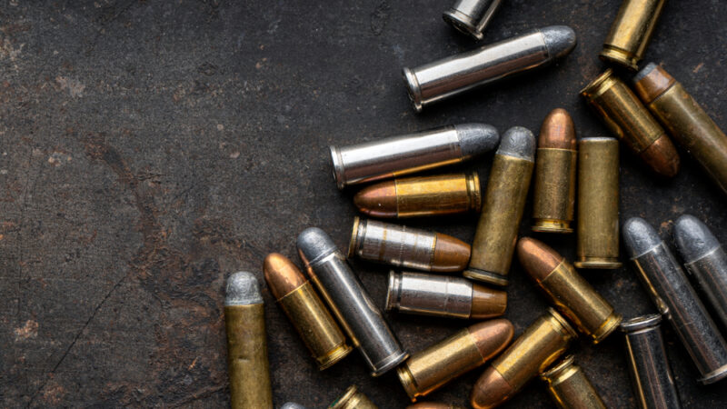 Zákaz olova ve střelivu se nekoná. Výbor REACH návrh Komise neschválil