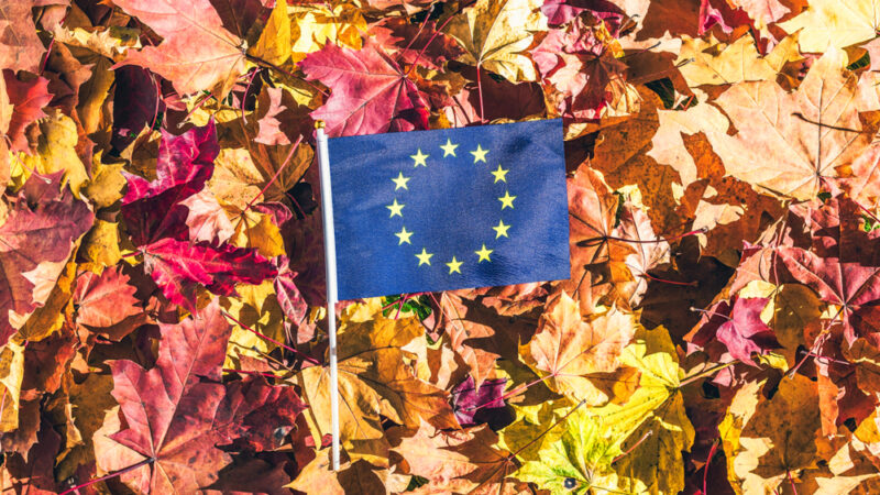 Český listopad v&nbsp;EU: Přátelé koheze v&nbsp;Praze, reverse charge a&nbsp;Češi v&nbsp;čele vojenské mise