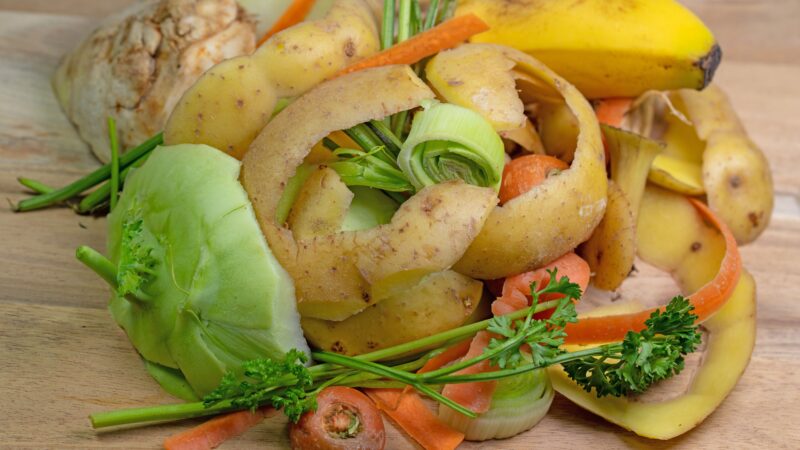 Miláno na cestě sběru a&nbsp;využívání gastroodpadu