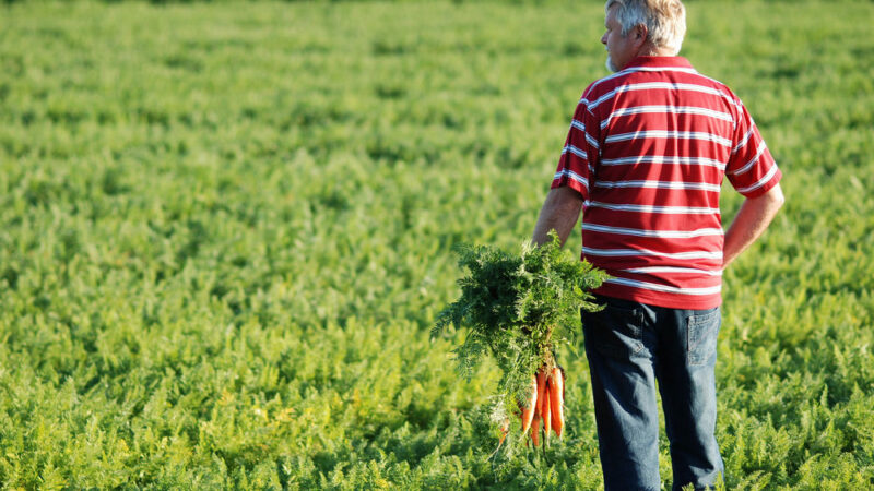 Konec neférových praktik obchodních řetězců. Skupina států včetně ČR chce více chránit své zemědělce