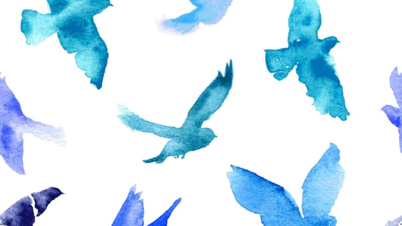 Bída zahraniční politiky ODS