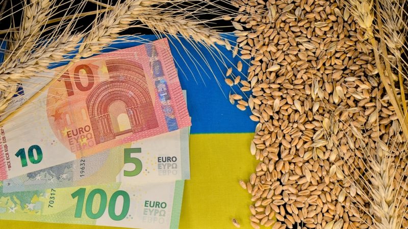 Členství Ukrajiny v&nbsp;EU povede k přepsání zemědělské politiky, říká ukrajinský náměstek