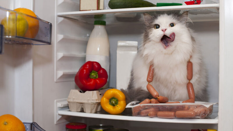 #jasnovEU – díl 3: Kterak nás EU připravuje o&nbsp;potraviny