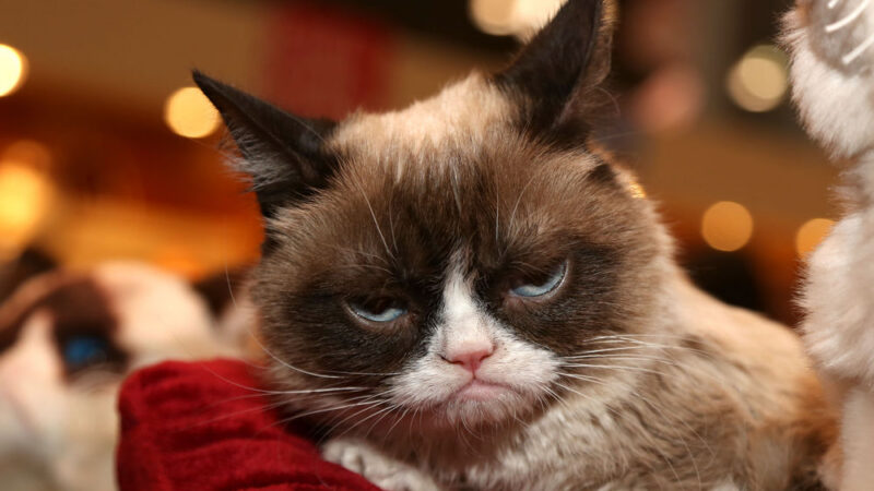 #jasnovEU – díl 19: Orwell se obrací v&nbsp;hrobě, Brusel nám chce zakázat internet