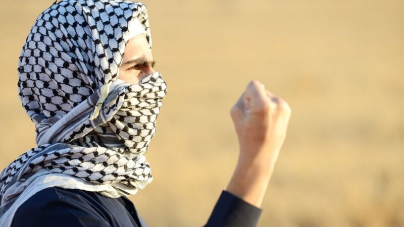 #jasnovEU – díl 5: EU (ne)financuje palestinské teroristy