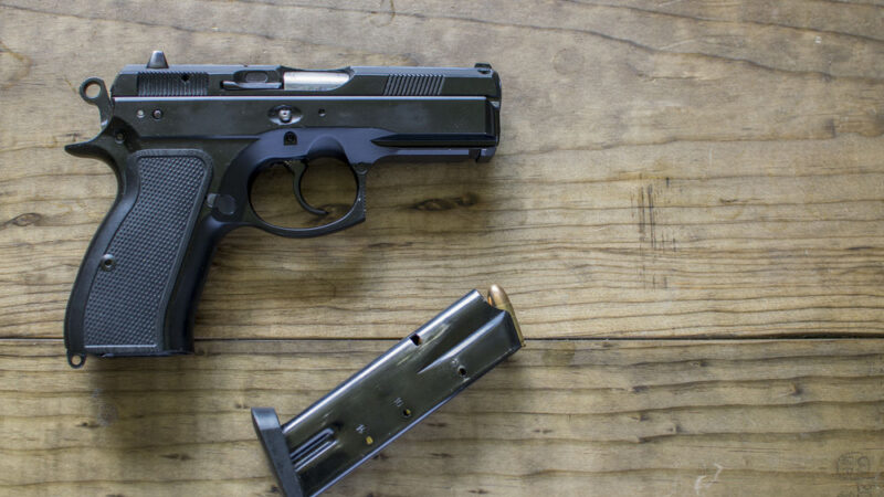 Podporovat držení zbraní, aby se lidé mohli bránit, je nesmysl. Zakazování je ale také chyba, říkají odborníci