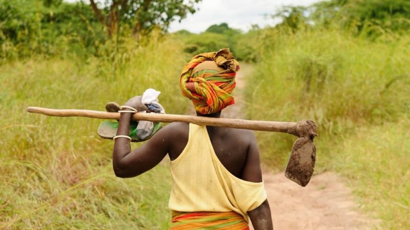 Nová pole, studny, ale také výchova mladých lidí. Evropské projekty v&nbsp;Africe mají zastavit migraci