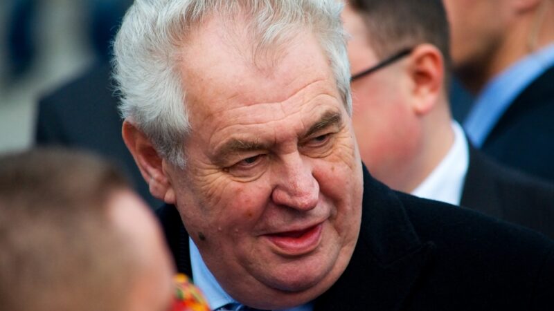 Prezident Zeman podpoří ČSSD ve volbách do Evropského parlamentu