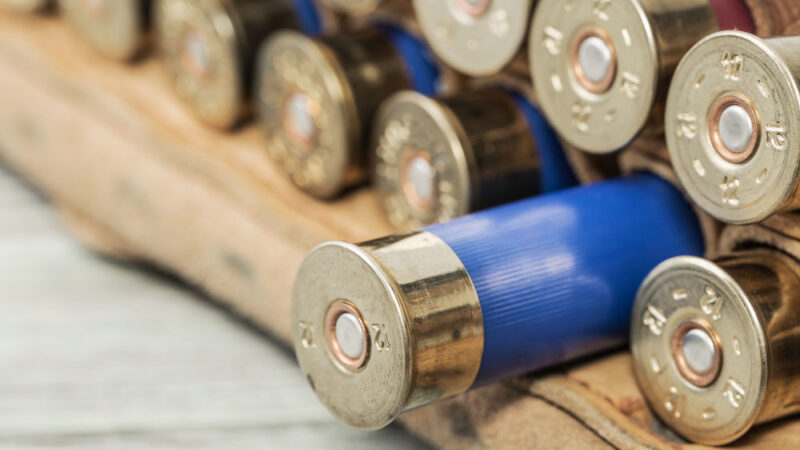 Čeští myslivci a&nbsp;rybáři se bát nemusí, EU nezakázala olovo