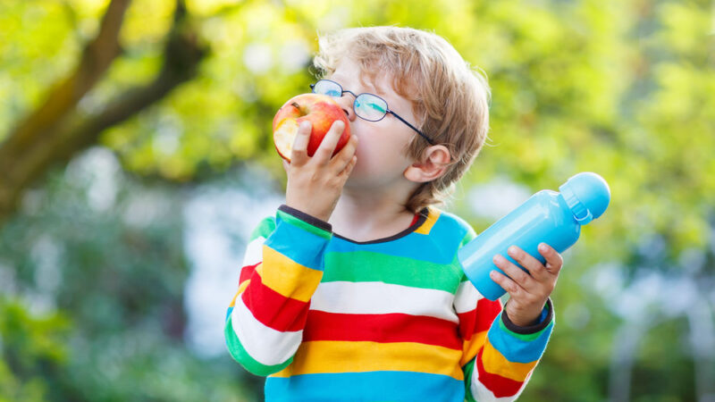 Mléko bude v&nbsp;EU pro školáky zdarma, Česko za něj ale zaplatí víc než dosud