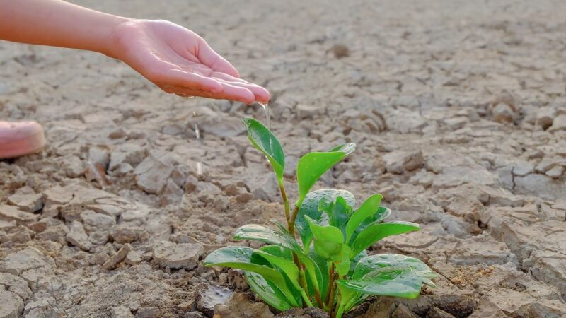 Špatné zemědělství změny klimatu způsobuje, to dobré je brzdí, říká v&nbsp;rozhovoru Svitálek