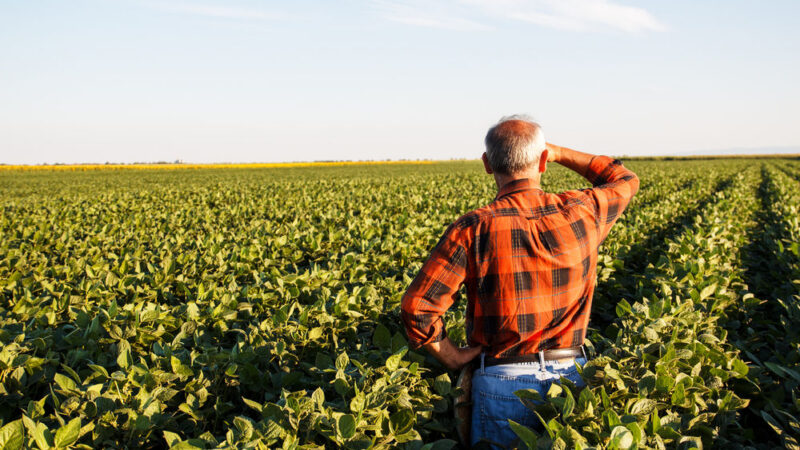 Z českého venkova mizí zemědělci. Stárnou a&nbsp;nemají žádné následovníky