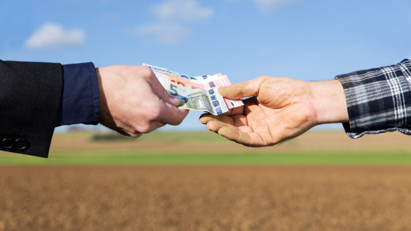 Zemědělský výbor EP chce omezit dotace pro velké podniky