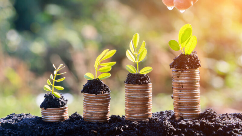 Pro český export je životní prostředí a&nbsp;klimatická změna stále tabu