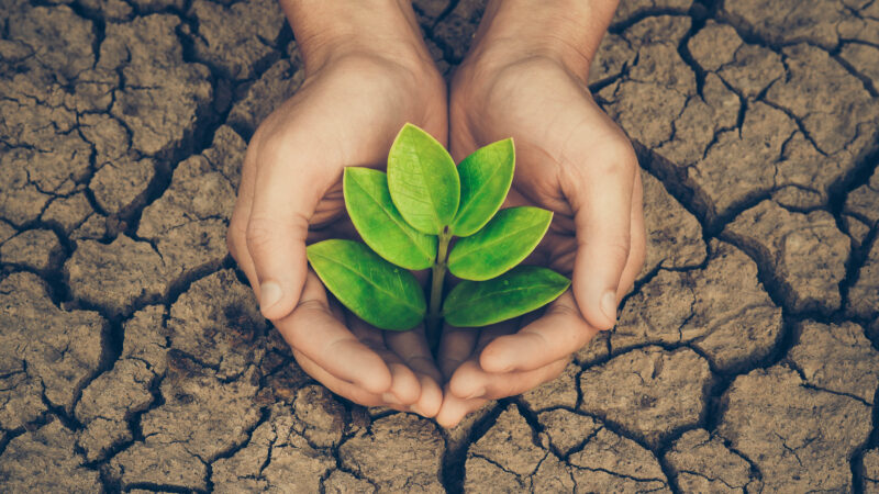 Půda čelí degradaci. Pomoci může precizní zemědělství