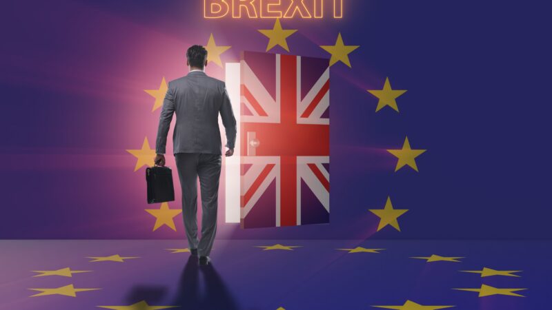 Brexit hýbe evropskou ekonomikou. Komu působí největší potíže?