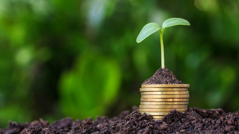 Chcete evropské peníze na farmaření? Požádat o&nbsp;ně rozhodně nestačí