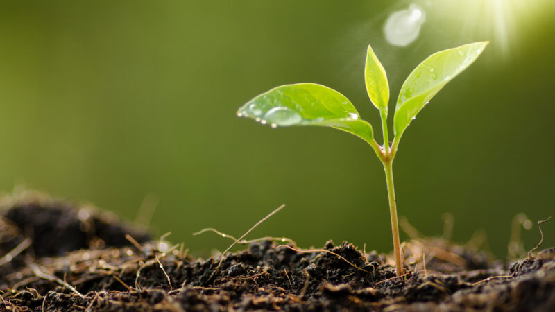 Životní prostředí „hlavním bojištěm“ v&nbsp;EP? Přes výbor ENVI jde třetina agendy