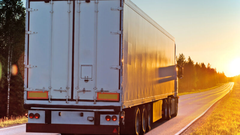 Bude mít český řidič kamionu stejný plat jako německý? Jednání o&nbsp;vysílání pracovníků jde do finále