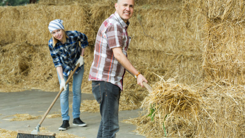 Sláma není odpad, vzkazují zemědělci Evropské komisi