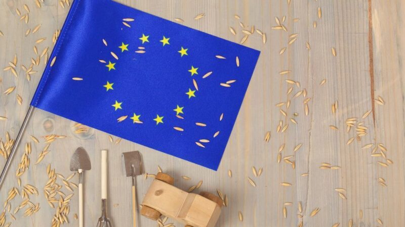 Za zájmy českých agrárníků bojují v&nbsp;europarlamentu Rumuni či Němci. Volby to mohou změnit