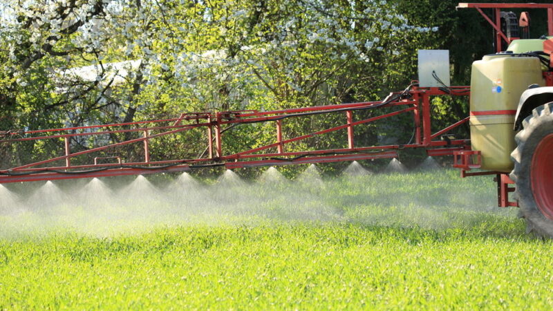 Způsobuje glyfosát rakovinu? Výsledky studií se neshodují, ČR se ale přiklonila k&nbsp;jeho omezení