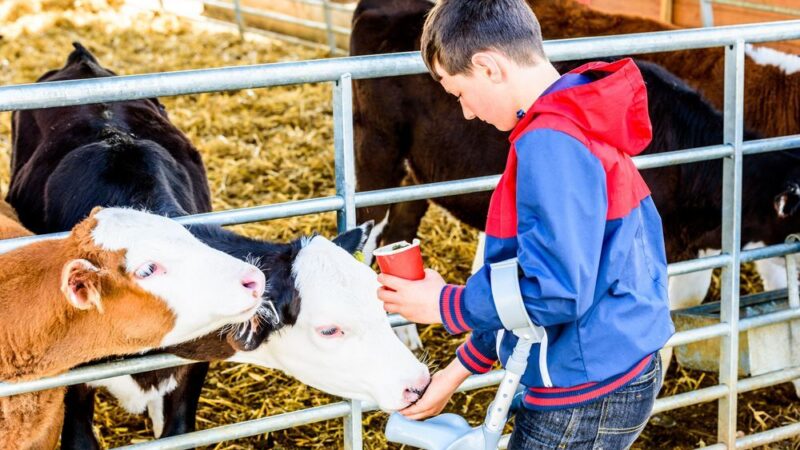 Zdravotně postižení a&nbsp;jinak znevýhodnění pomáhají na farmách. Léčí se a&nbsp;mohou si i&nbsp;vydělat