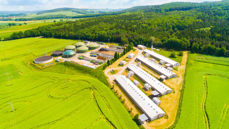 Jídlo vs. biopaliva. Kdo vyhraje?