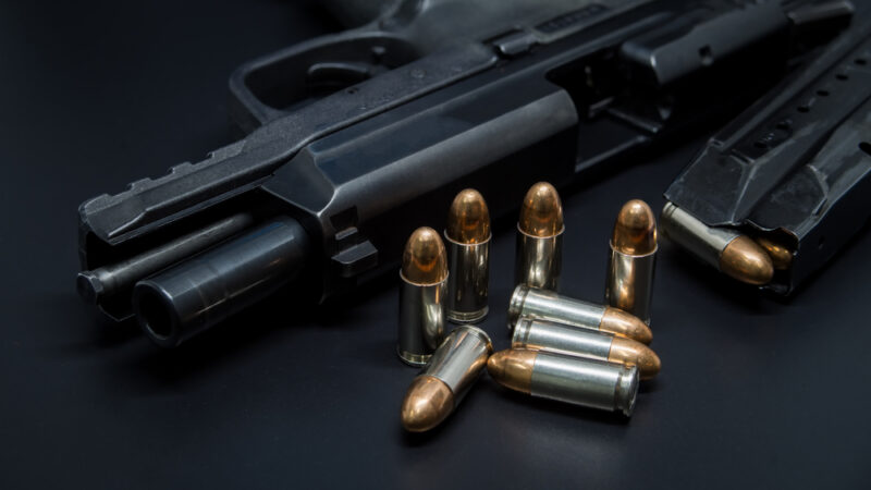 Generální advokátka EU je pro zamítnutí české žaloby na zbraňovou směrnici