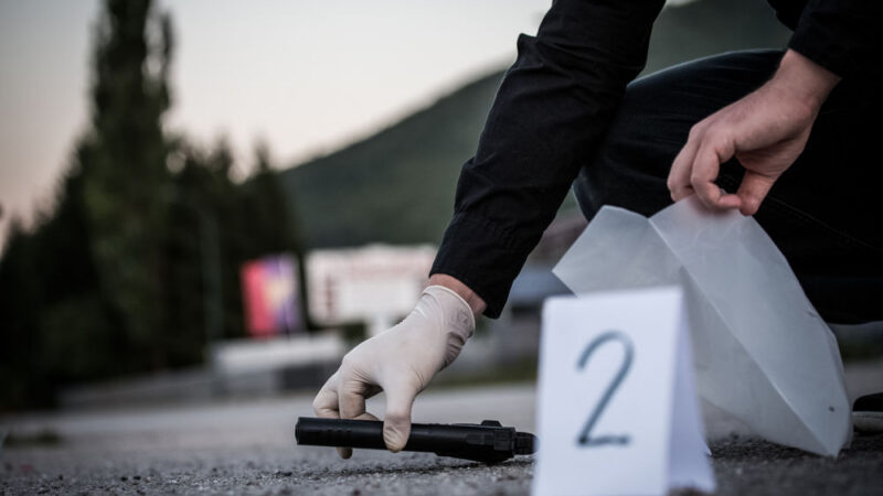 Europoslanci si více posvítí na vyšetřování vražd novinářů. Zřídili pro to zvláštní skupinu