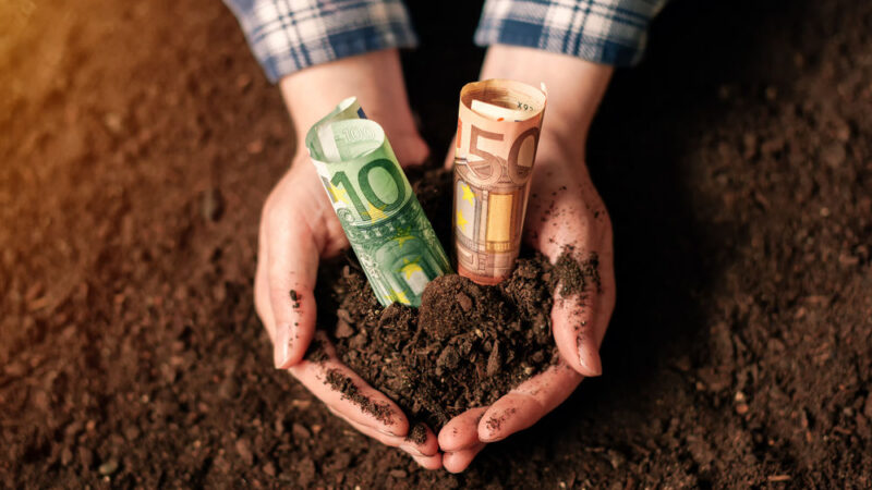 Nová zemědělská politika EU: Konec nízkých příjmů a&nbsp;nerovnoměrného rozdělování dotací?