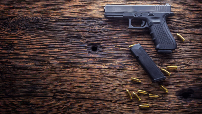 Slyšení o&nbsp;české žalobě na zbraňovou směrnici čeká unijní soud v&nbsp;březnu