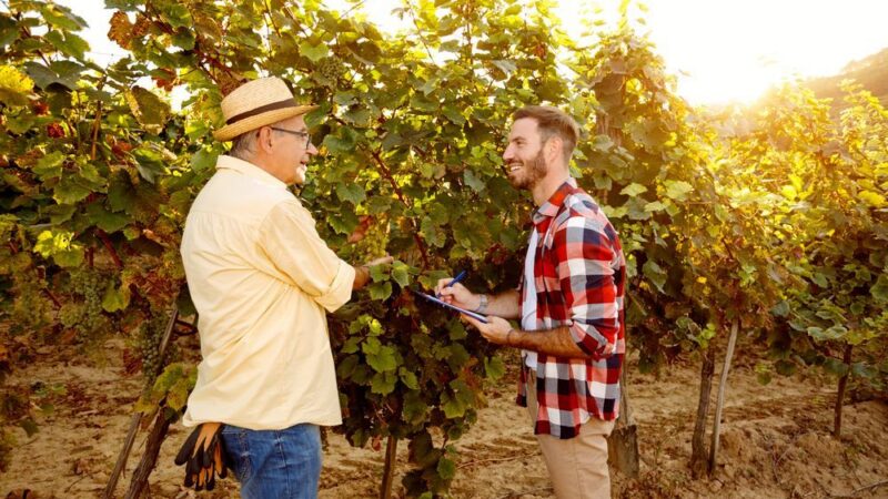 Kontrol na farmách by v budoucnu mělo být méně. Nahradí je drony