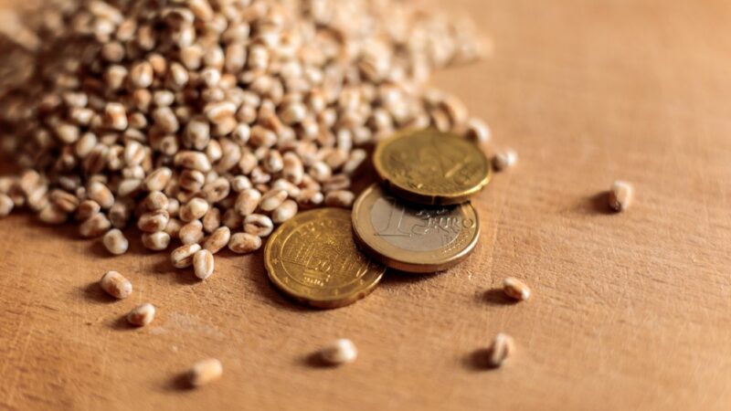 ČR stále odmítá krácení zemědělských dotací. Podle drobných farmářů tím promarňuje příležitost